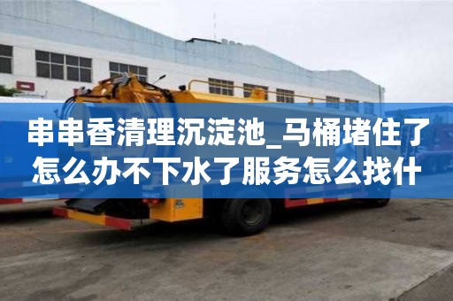 串串香清理沉淀池_马桶堵住了怎么办不下水了服务怎么找什么