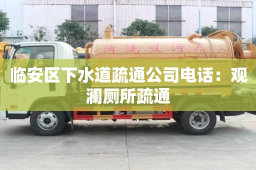 临安区下水道疏通公司电话：观澜厕所疏通
