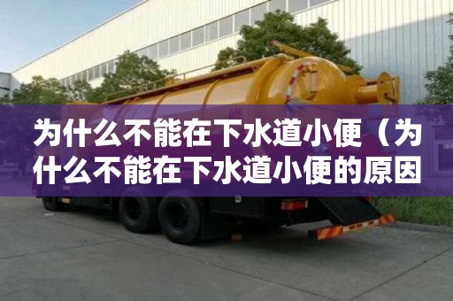 为什么不能在下水道小便（为什么不能在下水道小便的原因）