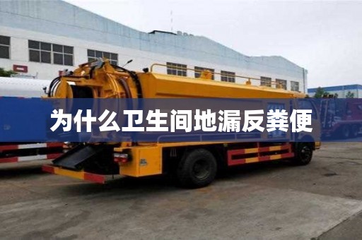 为什么卫生间地漏反粪便