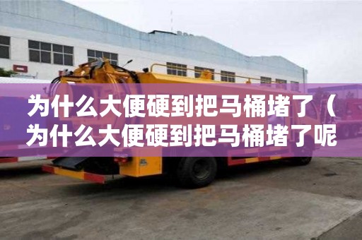 为什么大便硬到把马桶堵了（为什么大便硬到把马桶堵了呢）