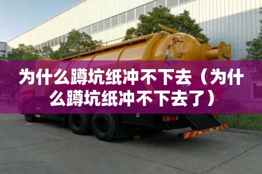 为什么蹲坑纸冲不下去（为什么蹲坑纸冲不下去了）