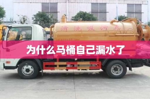 为什么马桶自己漏水了