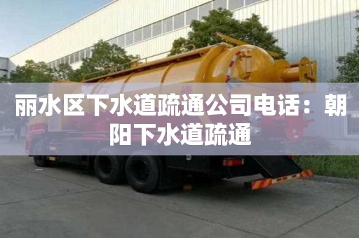 丽水区下水道疏通公司电话：朝阳下水道疏通
