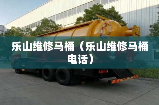 乐山维修马桶（乐山维修马桶电话）