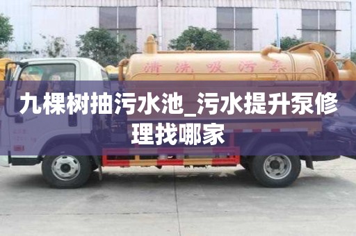九棵树抽污水池_污水提升泵修理找哪家