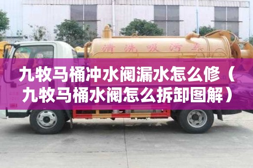 九牧马桶冲水阀漏水怎么修（九牧马桶水阀怎么拆卸图解）