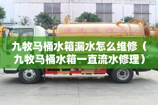 九牧马桶水箱漏水怎么维修（九牧马桶水箱一直流水修理）