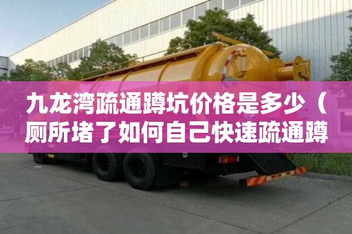 九龙湾疏通蹲坑价格是多少（厕所堵了如何自己快速疏通蹲坑堵塞）