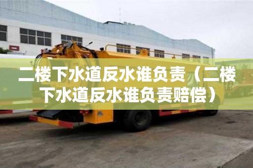 二楼下水道反水谁负责（二楼下水道反水谁负责赔偿）
