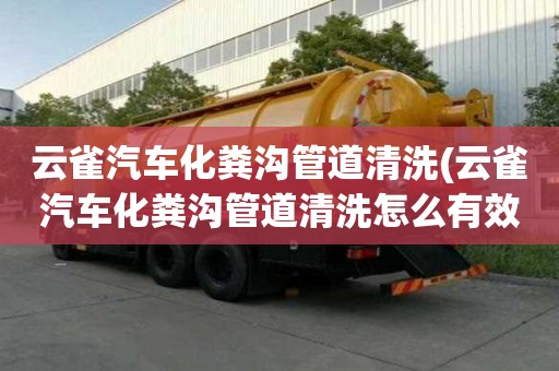 云雀汽车化粪沟管道清洗(云雀汽车化粪沟管道清洗怎么有效率)