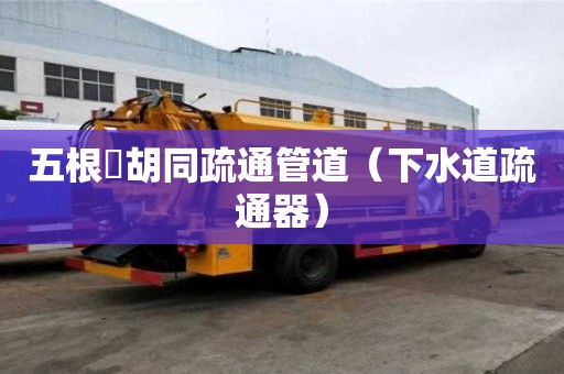 五根橫胡同疏通管道（下水道疏通器）