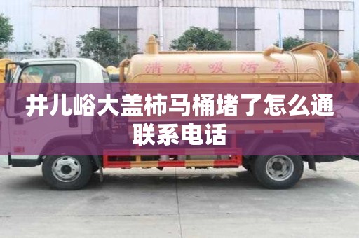 井儿峪大盖柿马桶堵了怎么通联系电话