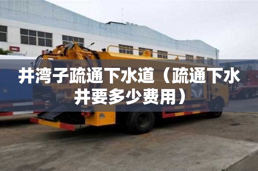 井湾子疏通下水道（疏通下水井要多少费用）