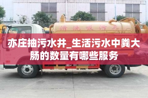 亦庄抽污水井_生活污水中粪大肠的数量有哪些服务