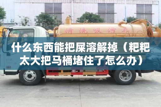 什么东西能把屎溶解掉（粑粑太大把马桶堵住了怎么办）