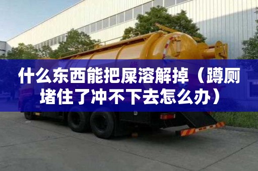 什么东西能把屎溶解掉（蹲厕堵住了冲不下去怎么办）