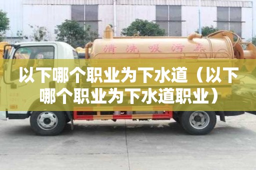 以下哪个职业为下水道（以下哪个职业为下水道职业）