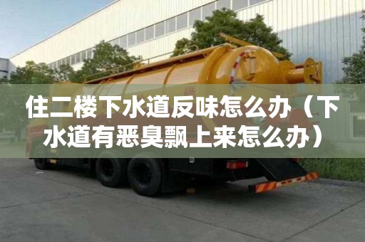 住二楼下水道反味怎么办（下水道有恶臭飘上来怎么办）