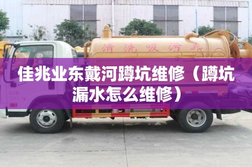 佳兆业东戴河蹲坑维修（蹲坑漏水怎么维修）
