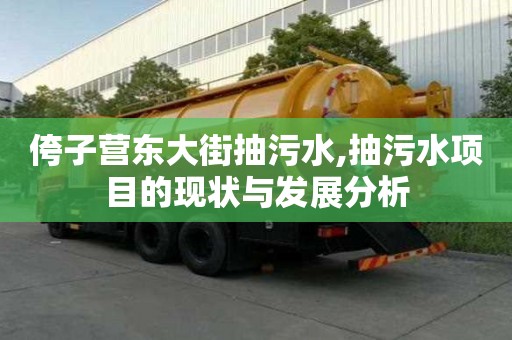 侉子营东大街抽污水,抽污水项目的现状与发展分析