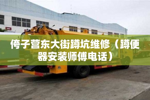 侉子营东大街蹲坑维修（蹲便器安装师傅电话）