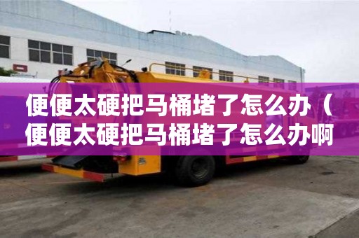 便便太硬把马桶堵了怎么办（便便太硬把马桶堵了怎么办啊）