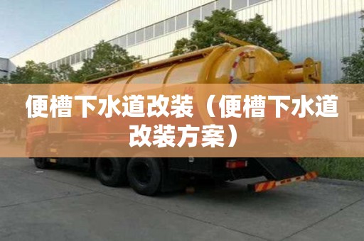 便槽下水道改装（便槽下水道改装方案）