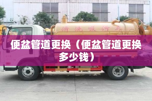 便盆管道更换（便盆管道更换多少钱）