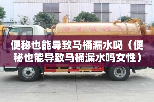 便秘也能导致马桶漏水吗（便秘也能导致马桶漏水吗女性）