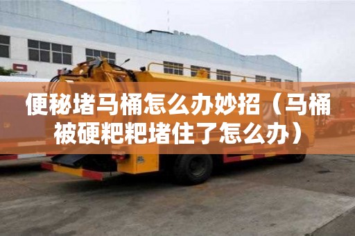 便秘堵马桶怎么办妙招（马桶被硬粑粑堵住了怎么办）
