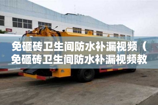 免砸砖卫生间防水补漏视频（免砸砖卫生间防水补漏视频教程）
