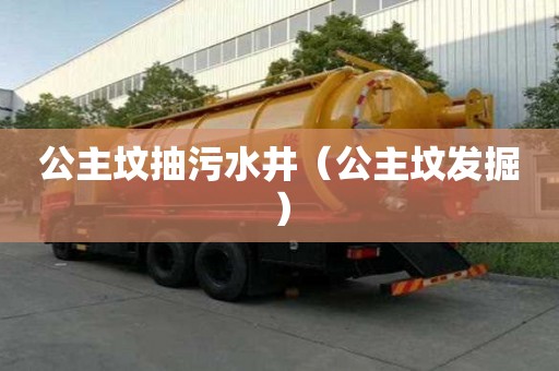 公主坟抽污水井（公主坟发掘）