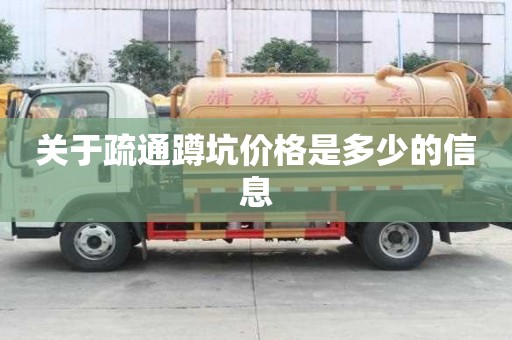 关于疏通蹲坑价格是多少的信息