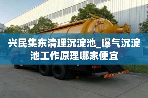 兴民集东清理沉淀池_曝气沉淀池工作原理哪家便宜