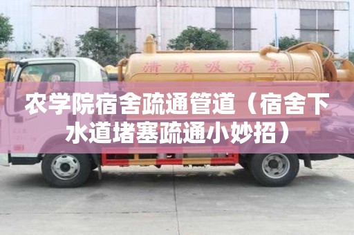 农学院宿舍疏通管道（宿舍下水道堵塞疏通小妙招）