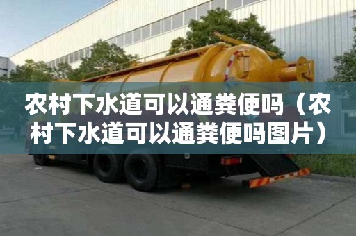 农村下水道可以通粪便吗（农村下水道可以通粪便吗图片）