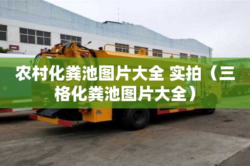 农村化粪池图片大全 实拍（三格化粪池图片大全）