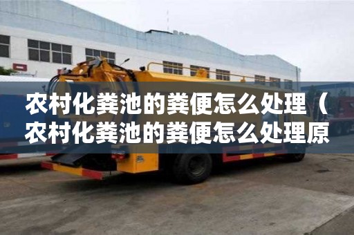 农村化粪池的粪便怎么处理（农村化粪池的粪便怎么处理原理）