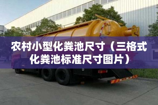 农村小型化粪池尺寸（三格式化粪池标准尺寸图片）