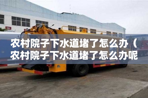 农村院子下水道堵了怎么办(农村院子下水道堵了怎么办呢) 农村院子下水道堵了怎么办(农村院子下水道堵了怎么办呢)