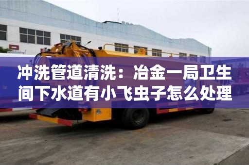 冲洗管道清洗：冶金一局卫生间下水道有小飞虫子怎么处理