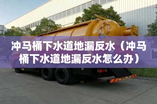 冲马桶下水道地漏反水（冲马桶下水道地漏反水怎么办）