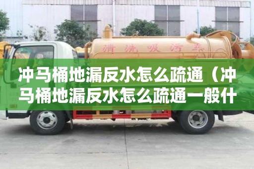 冲马桶地漏反水怎么疏通（冲马桶地漏反水怎么疏通一般什么价格）