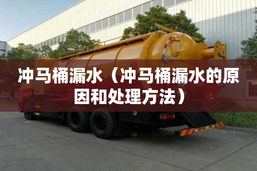 冲马桶漏水（冲马桶漏水的原因和处理方法）