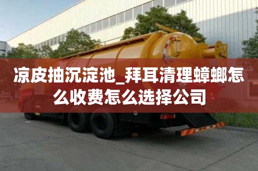 凉皮抽沉淀池_拜耳清理蟑螂怎么收费怎么选择公司