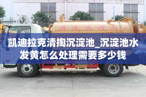 凯迪拉克清掏沉淀池_沉淀池水发黄怎么处理需要多少钱