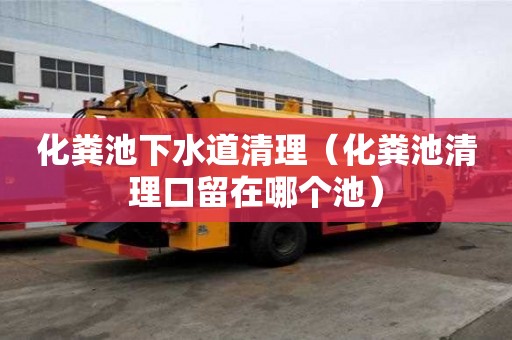 化粪池下水道清理（化粪池清理口留在哪个池）