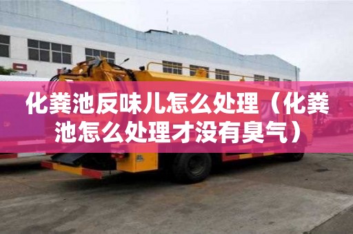 化粪池反味儿怎么处理（化粪池怎么处理才没有臭气）