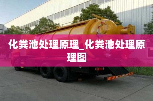 化粪池处理原理_化粪池处理原理图